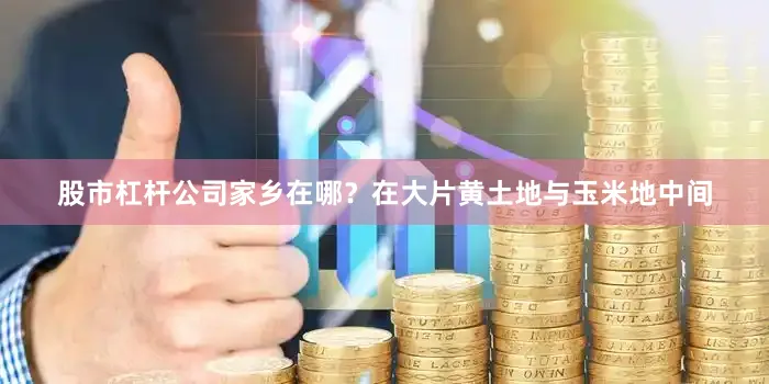 股市杠杆公司家乡在哪？在大片黄土地与玉米地中间